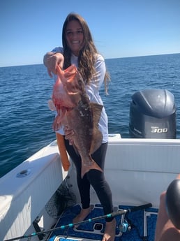 Red Grouper fishing in Fort Myers Beach, Florida