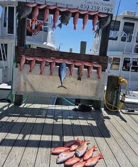 Fishing in Destin, Florida