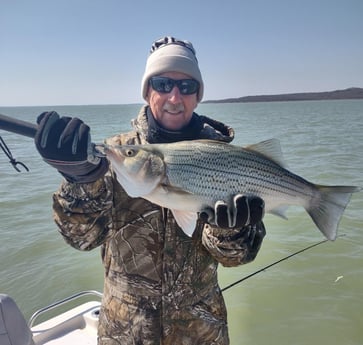 Striped Bass fishing in Runaway Bay, Texas