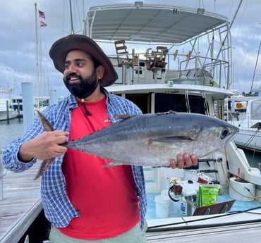 Bigeye Tuna Fishing in West Palm Beach, Florida