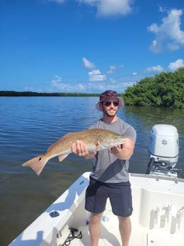 Redfish Fishing in Bradenton, Florida