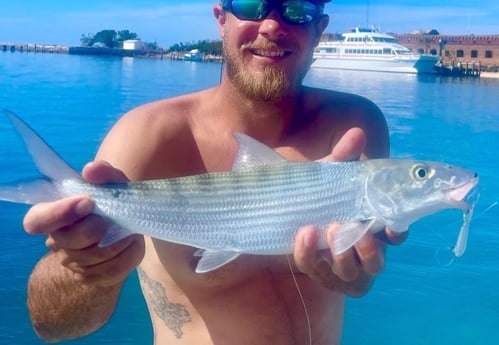 Bonefish Fishing in Key West, Florida