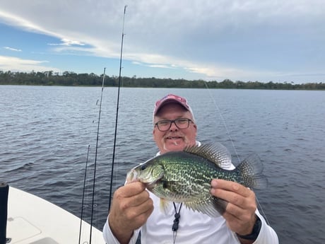 Crappie Fishing in Sarasota, Florida