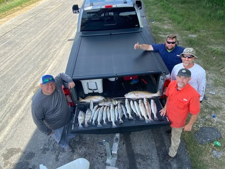 Black Drum, Redfish, Speckled Trout / Spotted Seatrout fishing in Port Arthur, Jefferson County