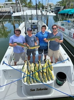 Mahi Mahi Fishing in Key Largo, Florida