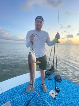 Redfish Fishing in Bolivar Peninsula, Texas