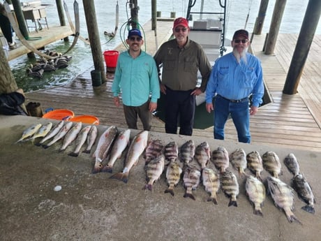 Black Drum, Redfish, Sheepshead, Speckled Trout / Spotted Seatrout Fishing in Port O&#039;Connor, Texas