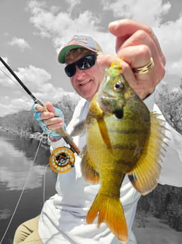 Fishing in Pembroke Pines, Florida