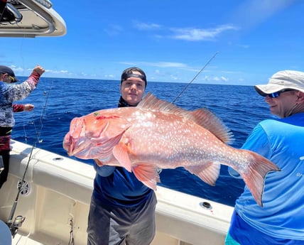 Red Grouper Fishing in Madeira Beach, Florida