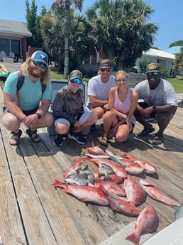Bluefish, Red Snapper, Spadefish Fishing in Dauphin Island, Alabama
