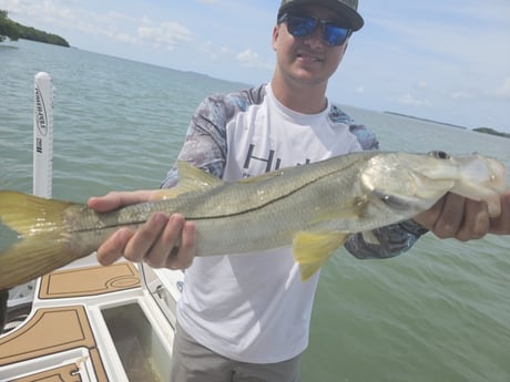 Snook Fishing in Port Orange, Florida