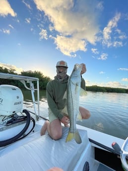 Snook Fishing in Layton Key, Florida