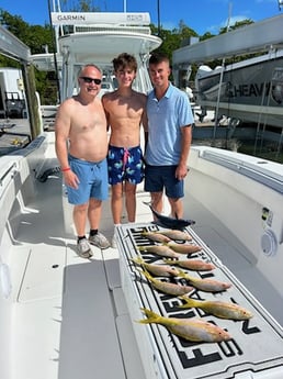 False Albacore, Yellowtail Snapper Fishing in Islamorada, Florida