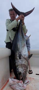 Bluefin Tuna Fishing in Long Beach, California