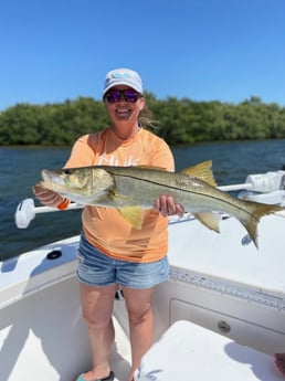 Snook fishing in Placida, Florida