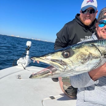 Barracuda Fishing in Panama City, Florida