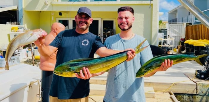 Mahi Mahi / Dorado, Tilefish Fishing in Miami, Florida