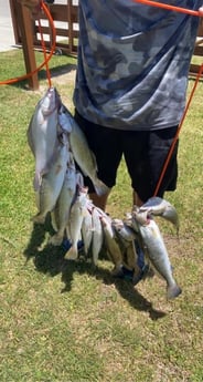 Flounder, Speckled Trout Fishing in Bolivar Peninsula, Texas