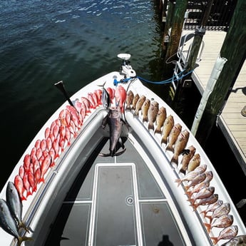 Red Snapper, Swordfish, Yellowtail Amberjack fishing in Destin, Florida