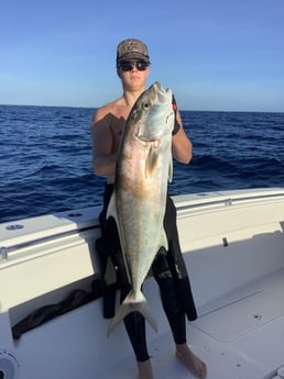 Amberjack Fishing in Islamorada, Florida