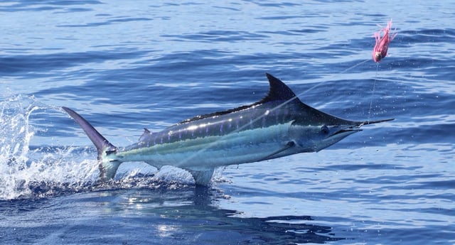 Fishing in Kailua-Kona, Hawaii