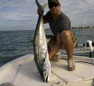 Kingfish Fishing in Clearwater, Florida