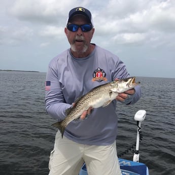 Speckled Trout / Spotted Seatrout fishing in Hudson, Florida