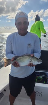 Mangrove Snapper Fishing in Islamorada, Florida
