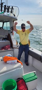 Perch Fishing in Oak Harbor, Ohio