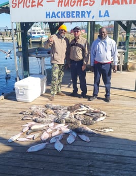 Black Drum, Flounder, Sheepshead, Speckled Trout Fishing in Sulphur, Louisiana