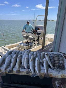 Black Drum, Speckled Trout Fishing in Matagorda, Texas