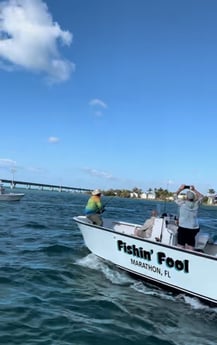 Fishing in Marathon, Florida