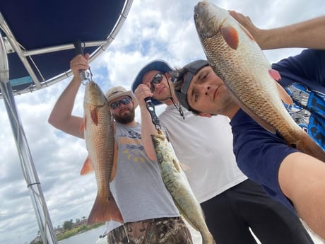 Redfish, Speckled Trout Fishing in Panama City, Florida