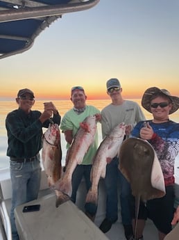 Redfish, Stingray Fishing in Dauphin Island, Alabama