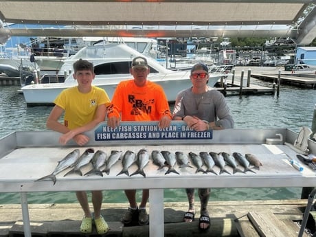 Bluefish, Kingfish, Mangrove Snapper Fishing in Destin, Florida