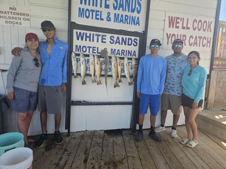 Black Drum, Bonnethead Shark, Speckled Trout Fishing in South Padre Island, Texas