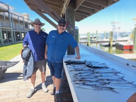 Spanish Mackerel Fishing in Gulf Shores, Alabama