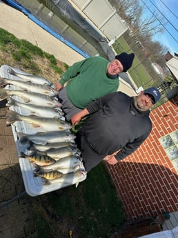 Perch, Walleye Fishing in Clay Township, Michigan