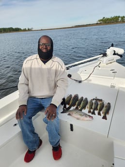 Largemouth Bass, Striped Bass Fishing in Pensacola, Florida