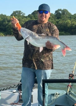 Blue Catfish Fishing in Dallas, Texas