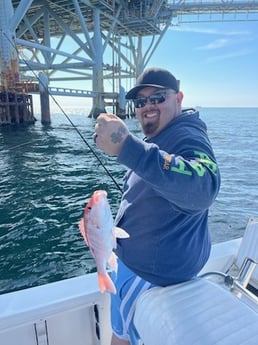 Lane Snapper Fishing in Gulf Shores, Alabama