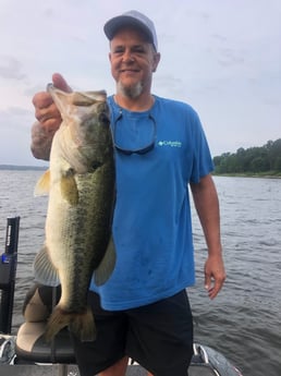 Largemouth Bass Fishing in Lake Fork, Texas