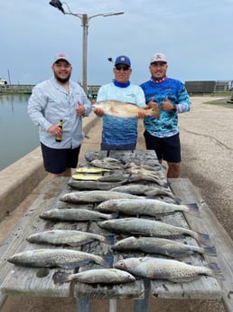 Black Drum, Mahi Mahi, Redfish, Speckled Trout Fishing in Surfside Beach, Texas