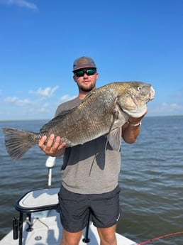 Black Drum Fishing in Shell Beach, Louisiana