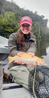 Golden Trout Fishing in Broken Bow, Oklahoma