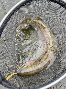 Fishing in Hume, California