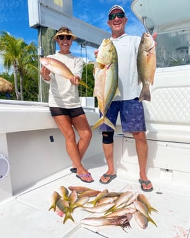 Lionfish, Mangrove Snapper, Yellowtail Amberjack, Yellowtail Snapper Fishing in Islamorada, Florida