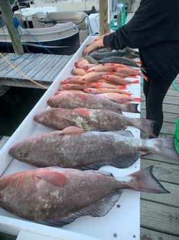 Lane Snapper, Red Grouper fishing in Fort Myers Beach, Florida