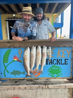 Black Drum, Redfish Fishing in Port Aransas, Texas