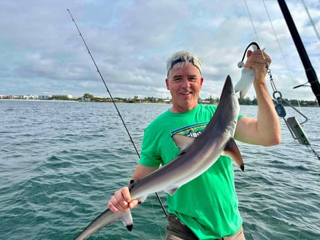 Blacktip Shark Fishing in Sarasota, Florida